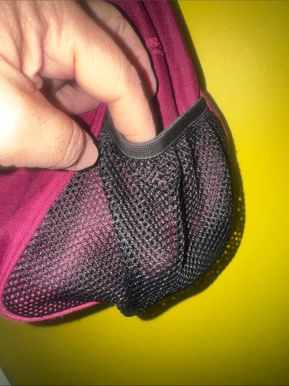 Eddie Bauer bright hot